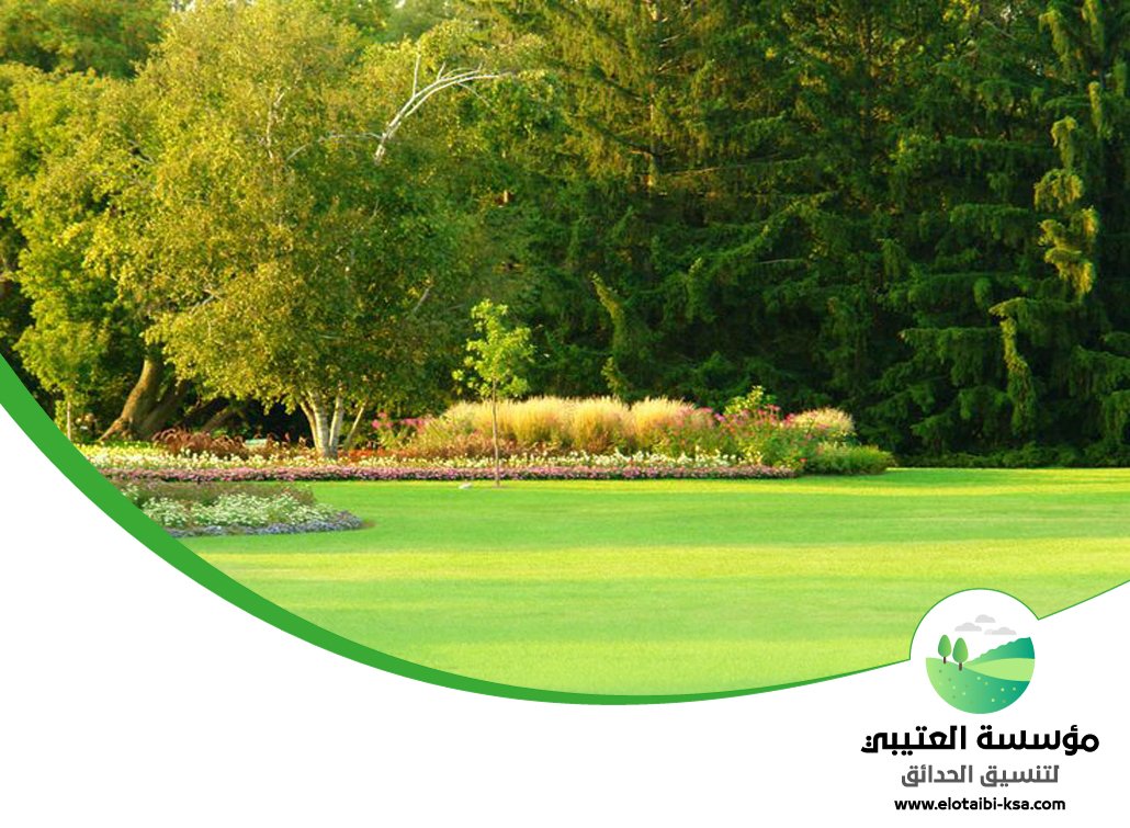 شركة تنسيق حدائق بالرياض
