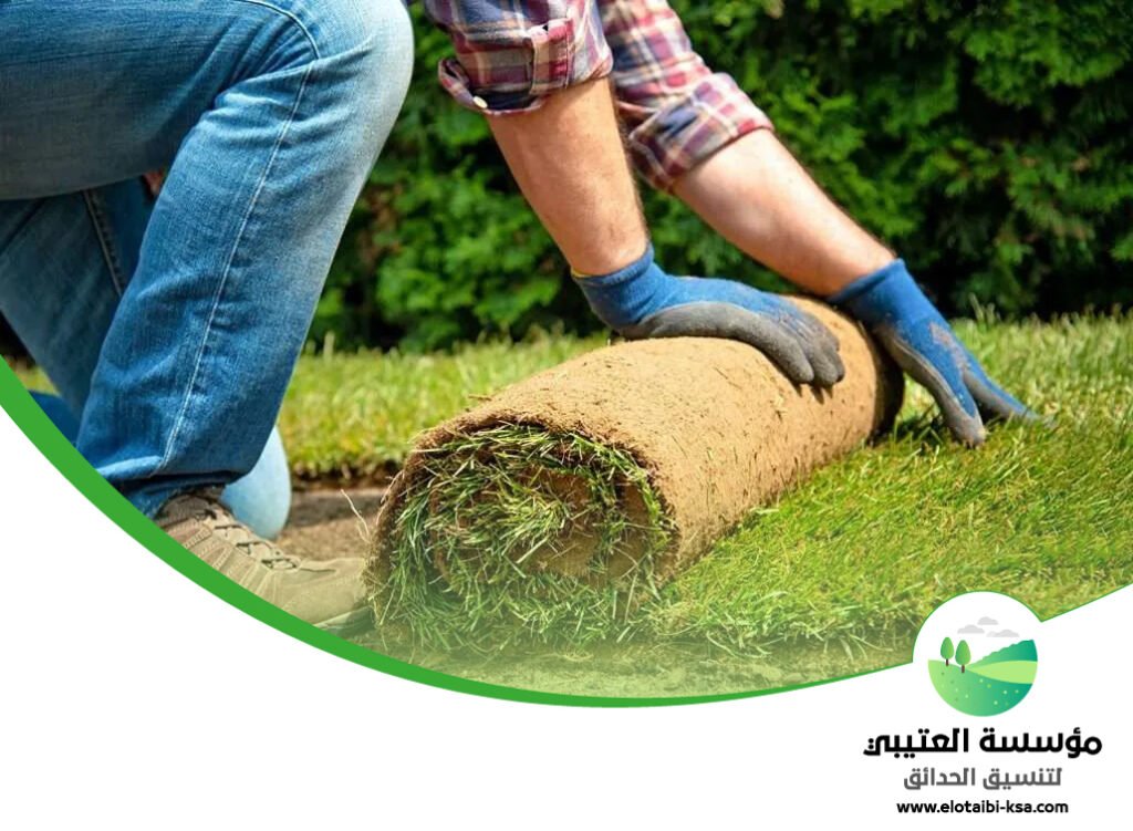 تركيب عشب طبيعي بالرياض