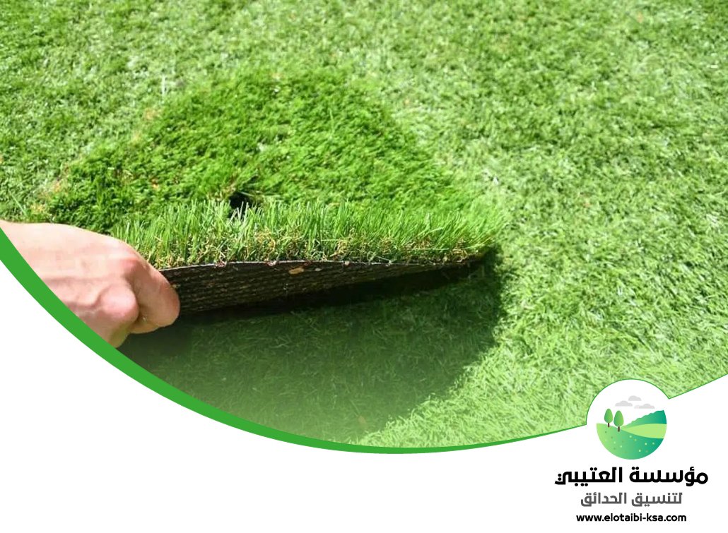 تركيب نجيلة في شرق الرياض