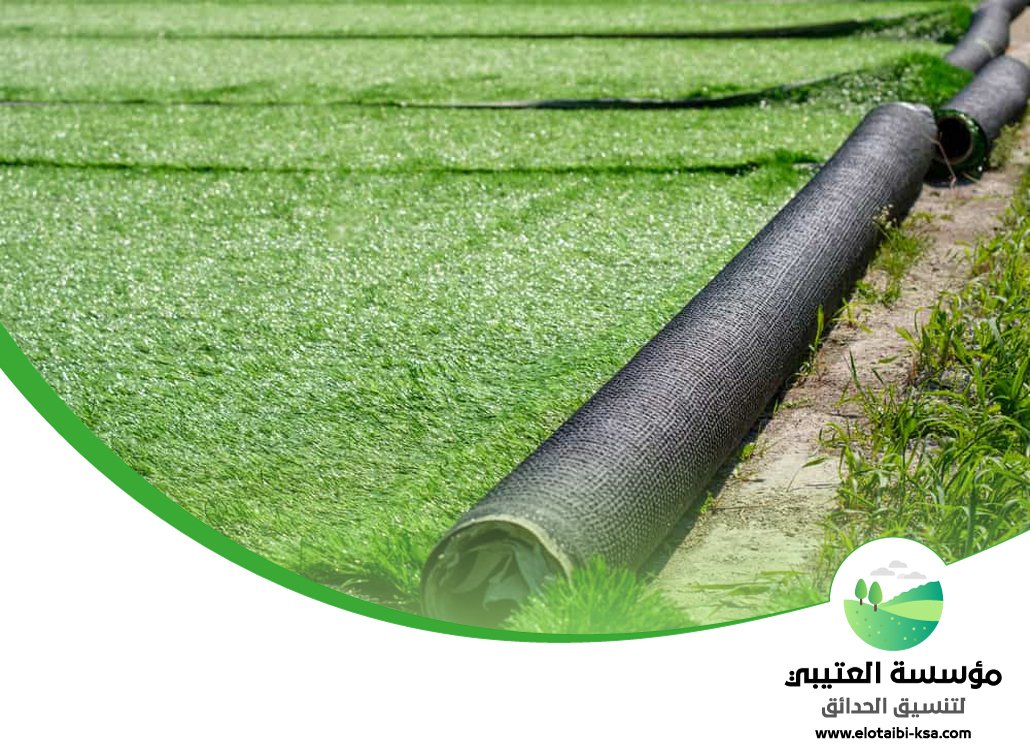 تركيب نجيلة في شرق الرياض