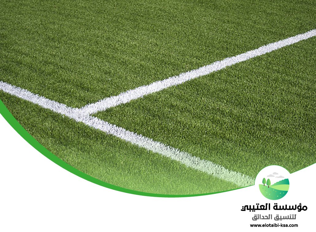 شركة تجهيز ملاعب بالرياض 3 شركة تجهيز ملاعب بالرياض