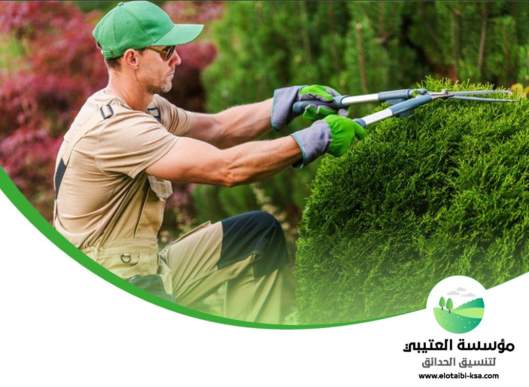 صيانة حدائق المنازل بالرياض 25 صيانة حدائق المنازل بالرياض