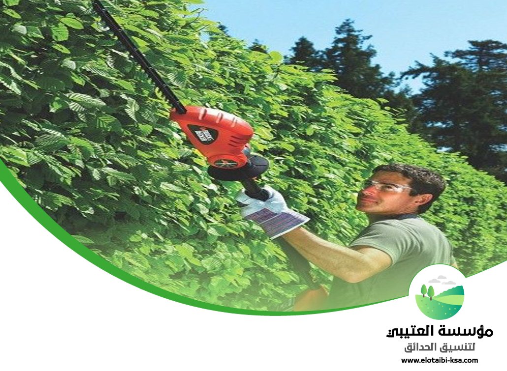 صيانة حدائق المنازل بالرياض 3 صيانة حدائق المنازل بالرياض