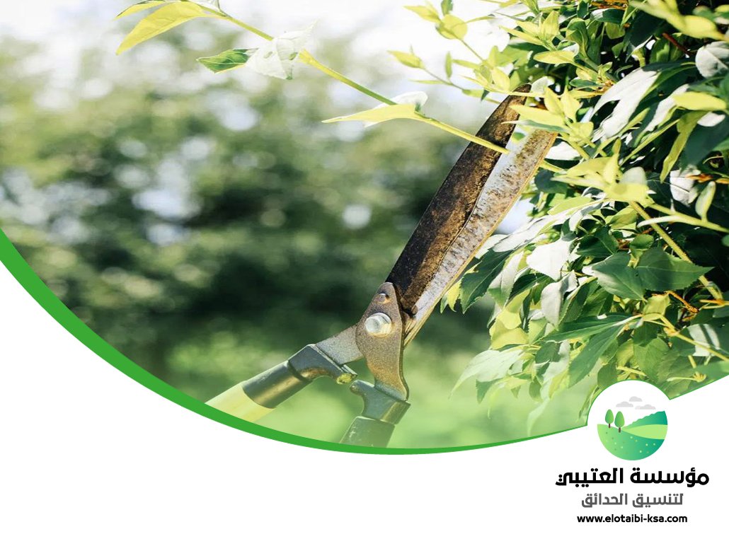 صيانة حدائق المنازل بالرياض 5 صيانة حدائق المنازل بالرياض
