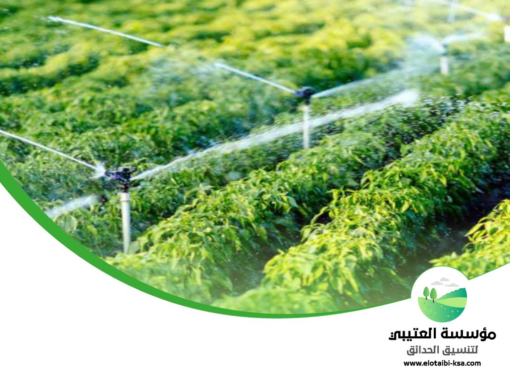 تصميم شبكات الري بالرياض 5 تصميم شبكات الري بالرياض