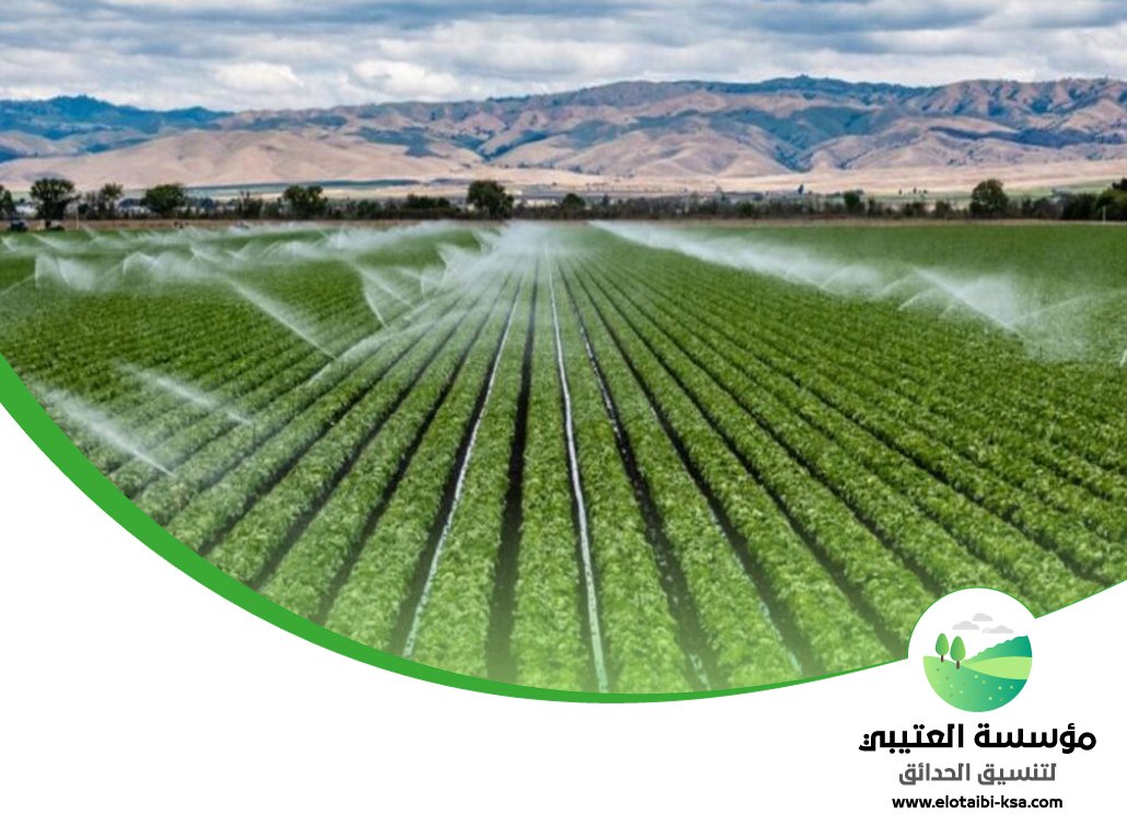 تصميم شبكات الري بالرياض 3 تصميم شبكات الري بالرياض