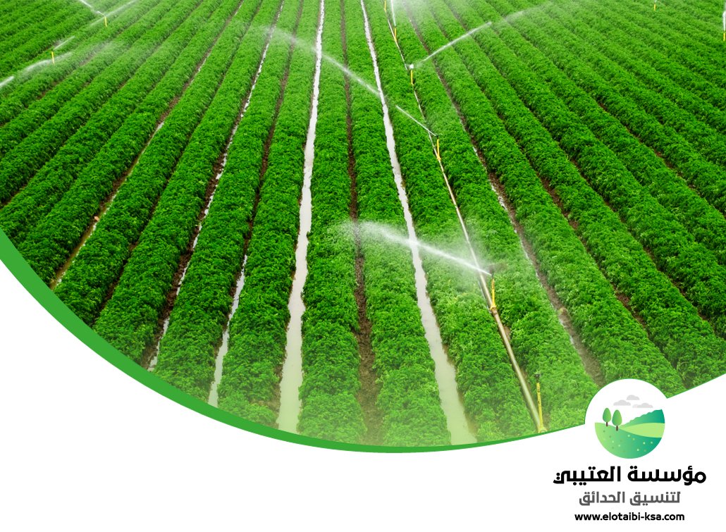 شركة تمديد شبكات الري 4 شركة تمديد شبكات الري