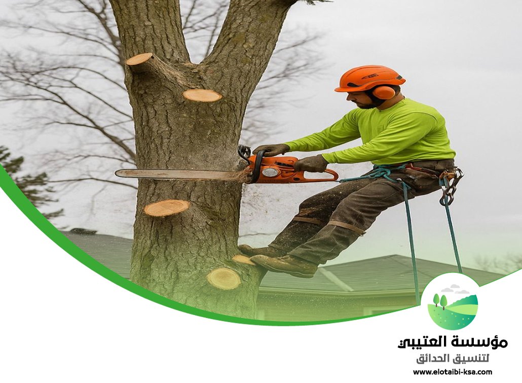 عامل قص اشجار بالرياض 5 عامل قص اشجار بالرياض