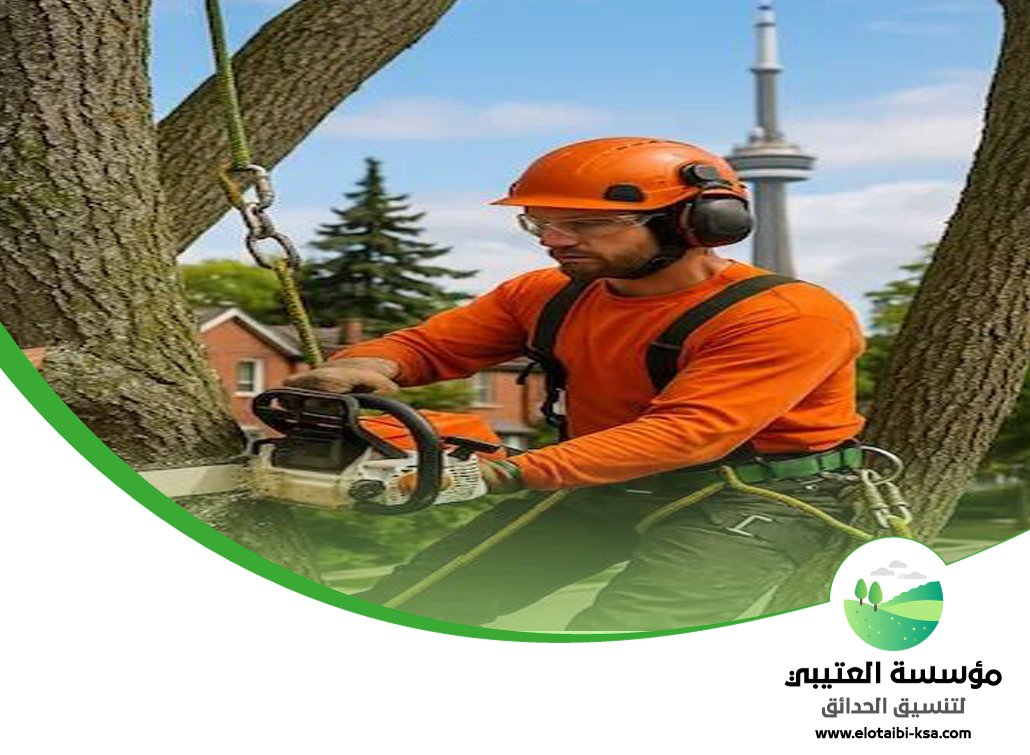عامل قص اشجار بالرياض 4 عامل قص اشجار بالرياض