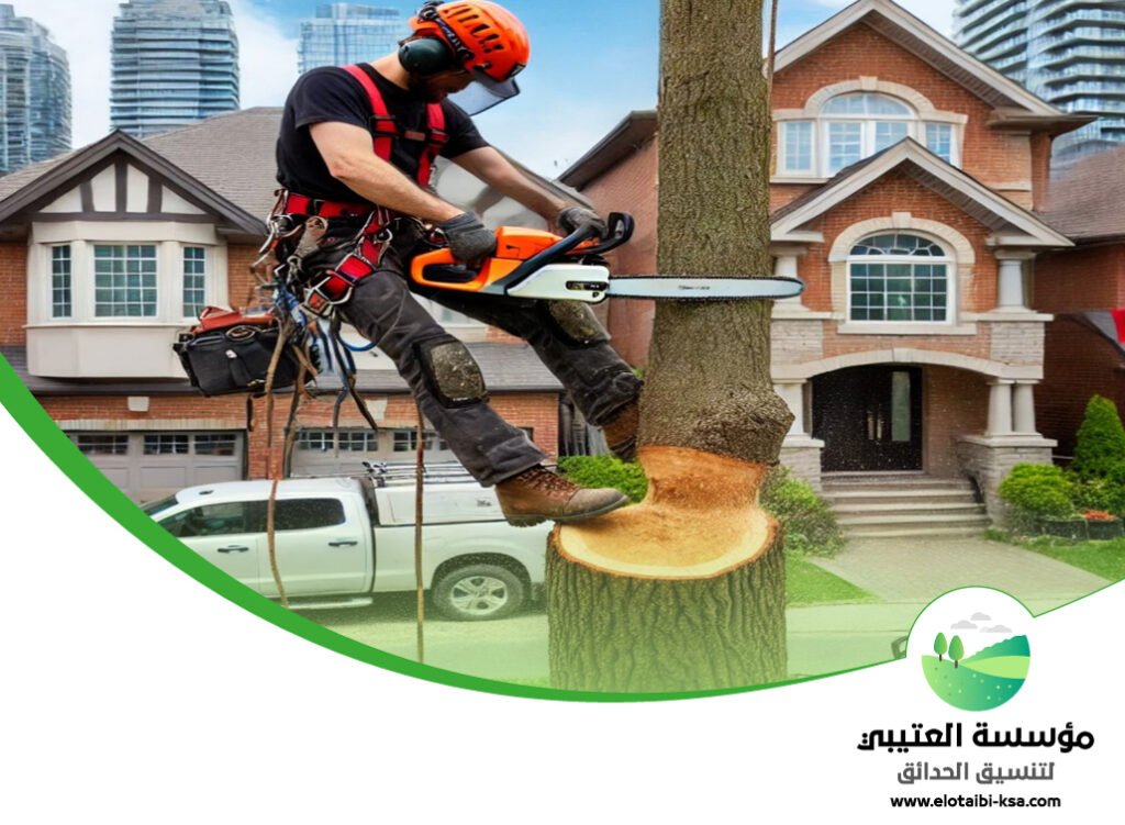 عامل قص اشجار بالرياض