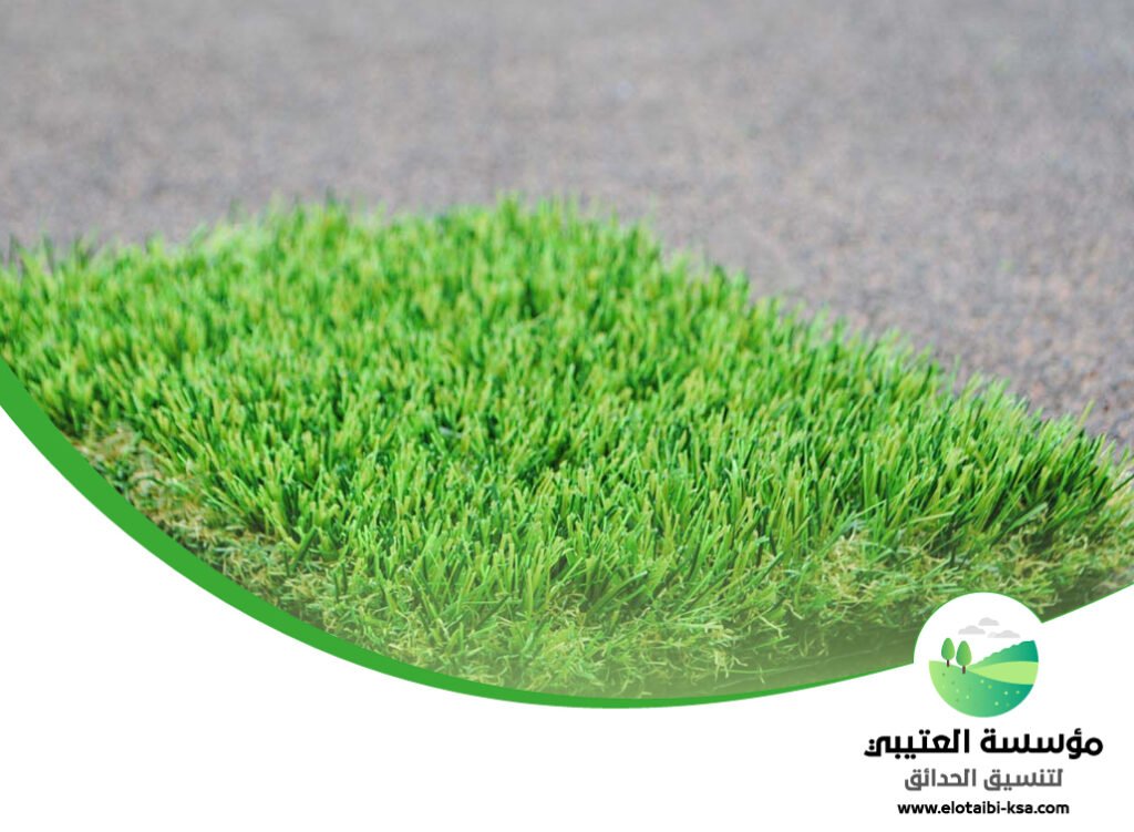 تركيب نجيلة في شمال الرياض 2 تركيب نجيلة في شمال الرياض