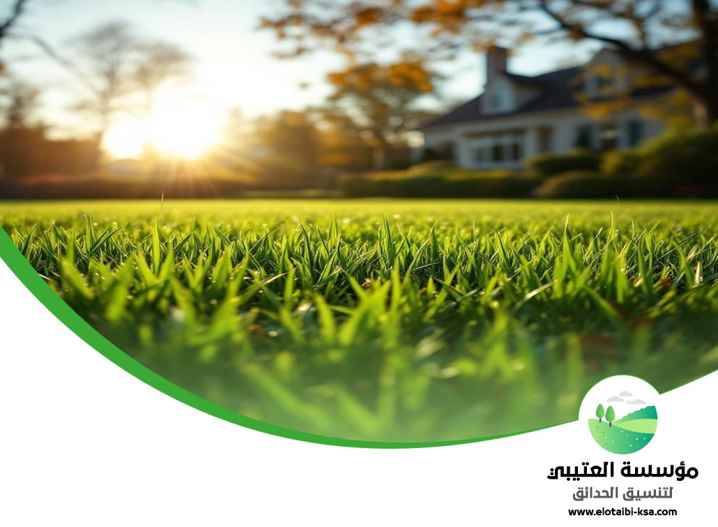 تركيب عشب طبيعي شمال الرياض 3 تركيب عشب طبيعي شمال الرياض