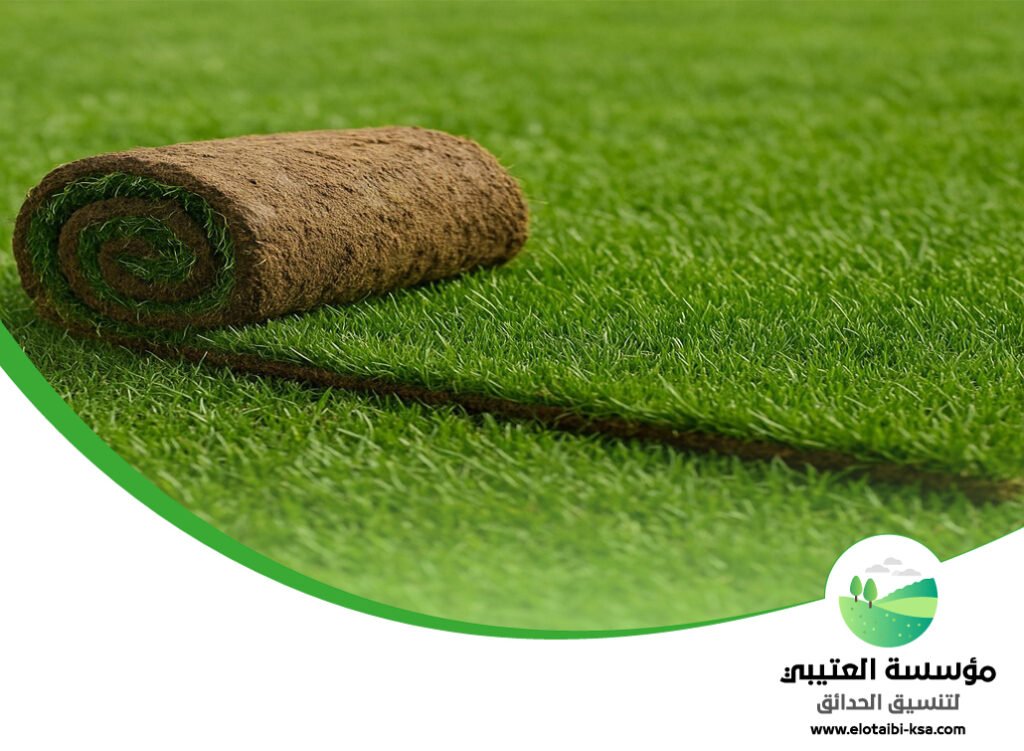 تركيب عشب طبيعي شمال الرياض 2 تركيب عشب طبيعي شمال الرياض