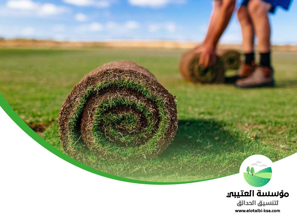 تركيب عشب طبيعي شرق الرياض 5 تركيب عشب طبيعي شرق الرياض