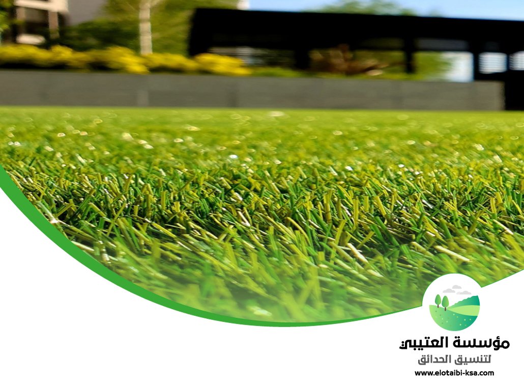 تركيب عشب طبيعي شرق الرياض