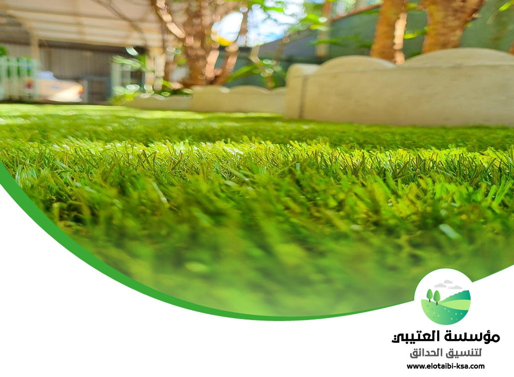 تركيب عشب طبيعي جنوب الرياض 5 تركيب عشب طبيعي جنوب الرياض