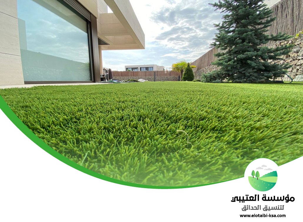 تركيب عشب طبيعي جنوب الرياض 4 تركيب عشب طبيعي جنوب الرياض