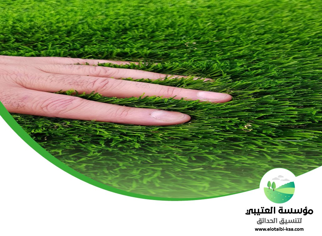 تركيب عشب طبيعي جنوب الرياض