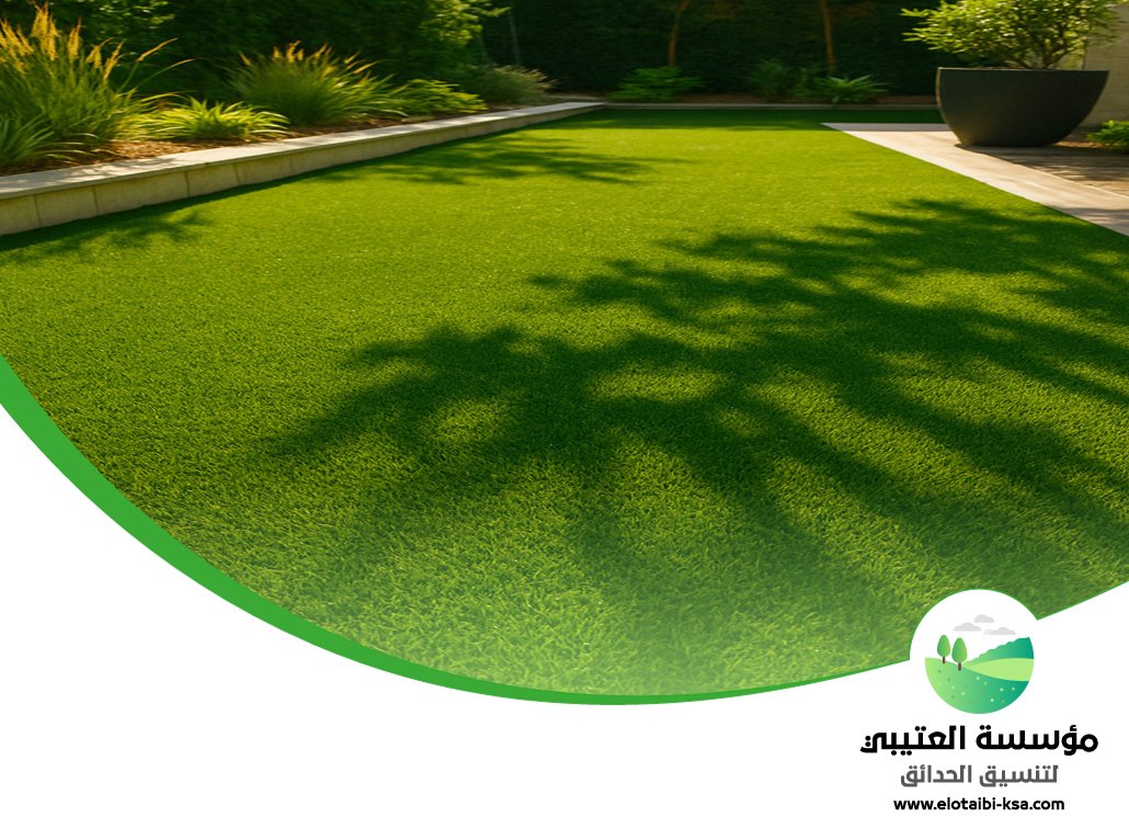 تركيب ثيل غرب الرياض 5 تركيب ثيل غرب الرياض