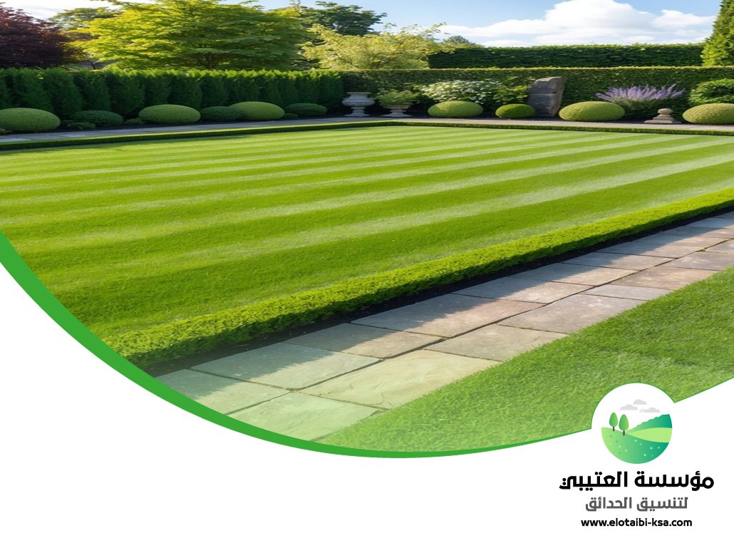 تركيب ثيل غرب الرياض 4 تركيب ثيل غرب الرياض