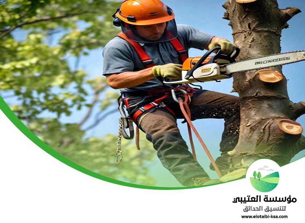 شركة قص اشجار جنوب الرياض 33 شركة قص اشجار جنوب الرياض