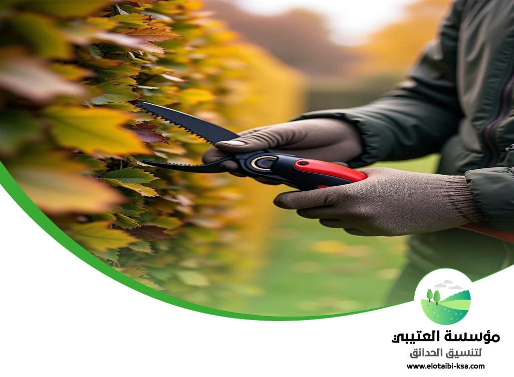 شركة قص اشجار غرب الرياض 5 شركة قص اشجار غرب الرياض