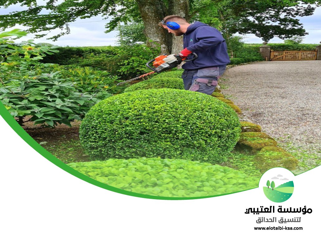 شركة قص اشجار غرب الرياض 5 شركة قص اشجار غرب الرياض