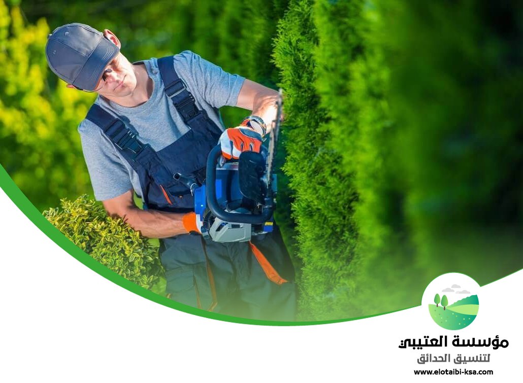 شركة قص اشجار شرق الرياض