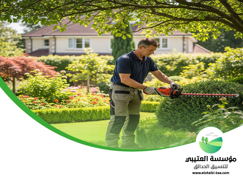 شركة قص اشجار شرق الرياض 13 شركة قص اشجار شرق الرياض