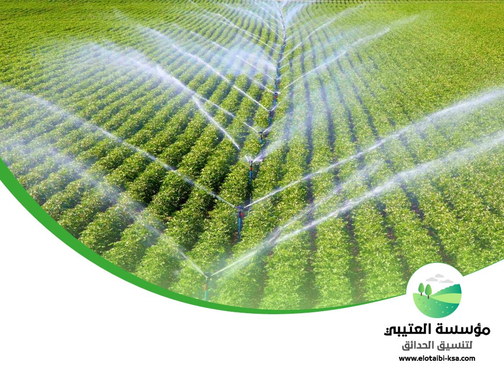 نصائح تركيب شبكات الري الذكية 5 نصائح تركيب شبكات الري الذكية