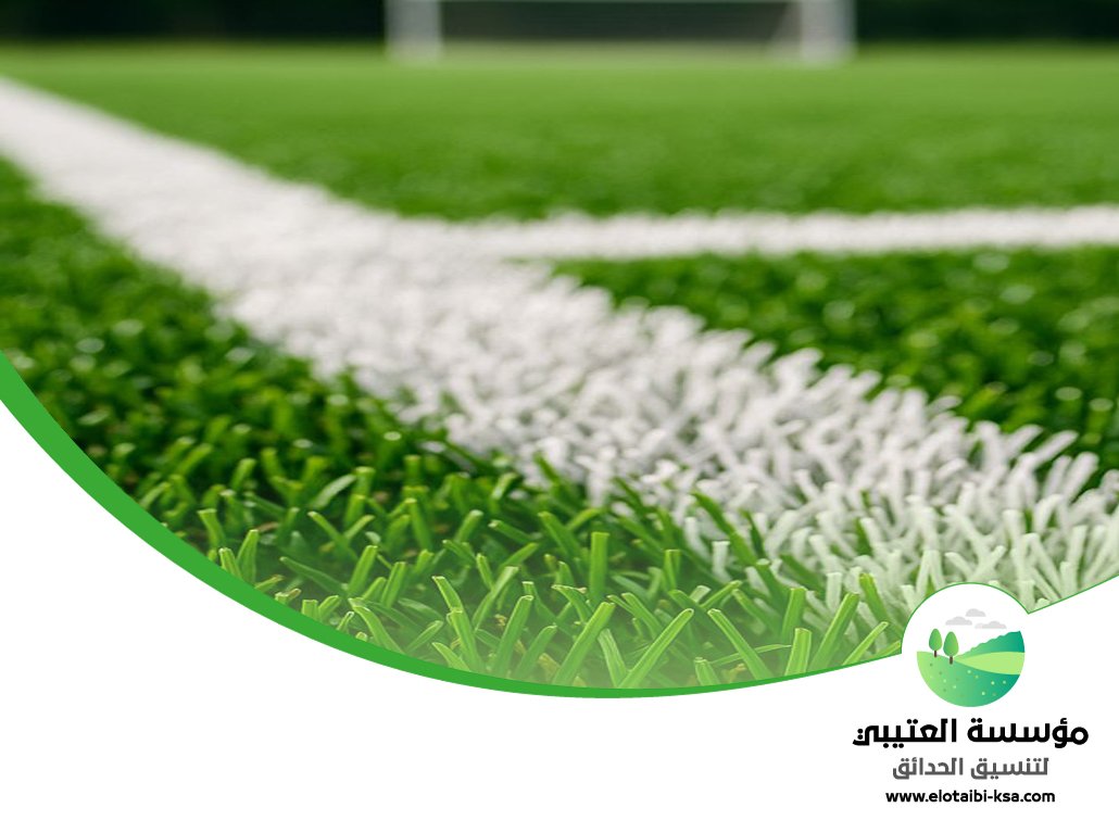 تجهيز ملاعب شرق الرياض 3 تجهيز ملاعب شرق الرياض