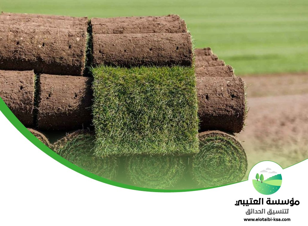 تجهيز ملاعب غرب الرياض 3 تجهيز ملاعب غرب الرياض