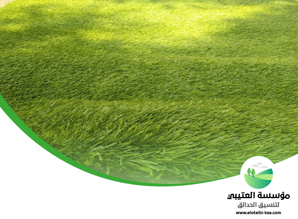 تجهيز ملاعب غرب الرياض 4 تجهيز ملاعب غرب الرياض