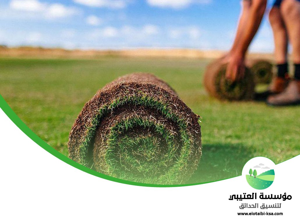 تجهيز ملاعب غرب الرياض 5 تجهيز ملاعب غرب الرياض