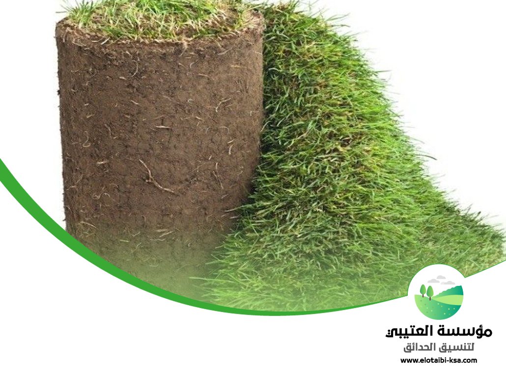 تجهيز ملاعب جنوب الرياض 3 تجهيز ملاعب جنوب الرياض