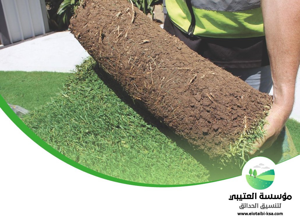 تجهيز ملاعب جنوب الرياض 4 تجهيز ملاعب جنوب الرياض