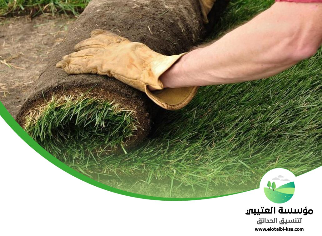 تجهيز ملاعب جنوب الرياض 5 تجهيز ملاعب جنوب الرياض