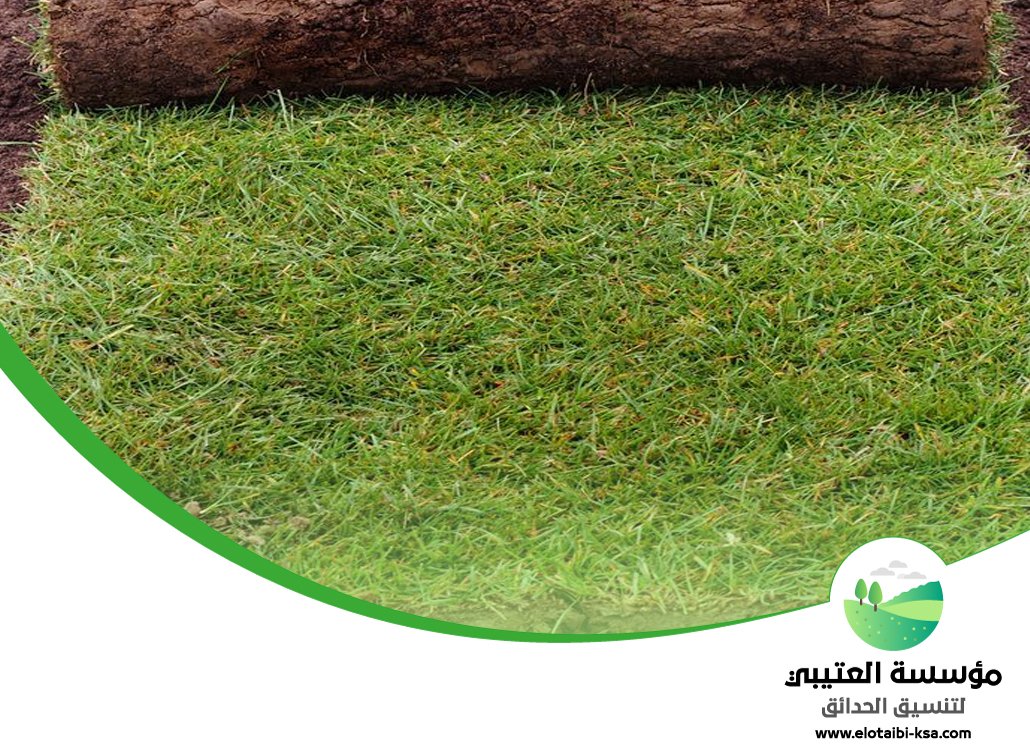 تجهيز ملاعب بالرياض 3 تجهيز ملاعب بالرياض