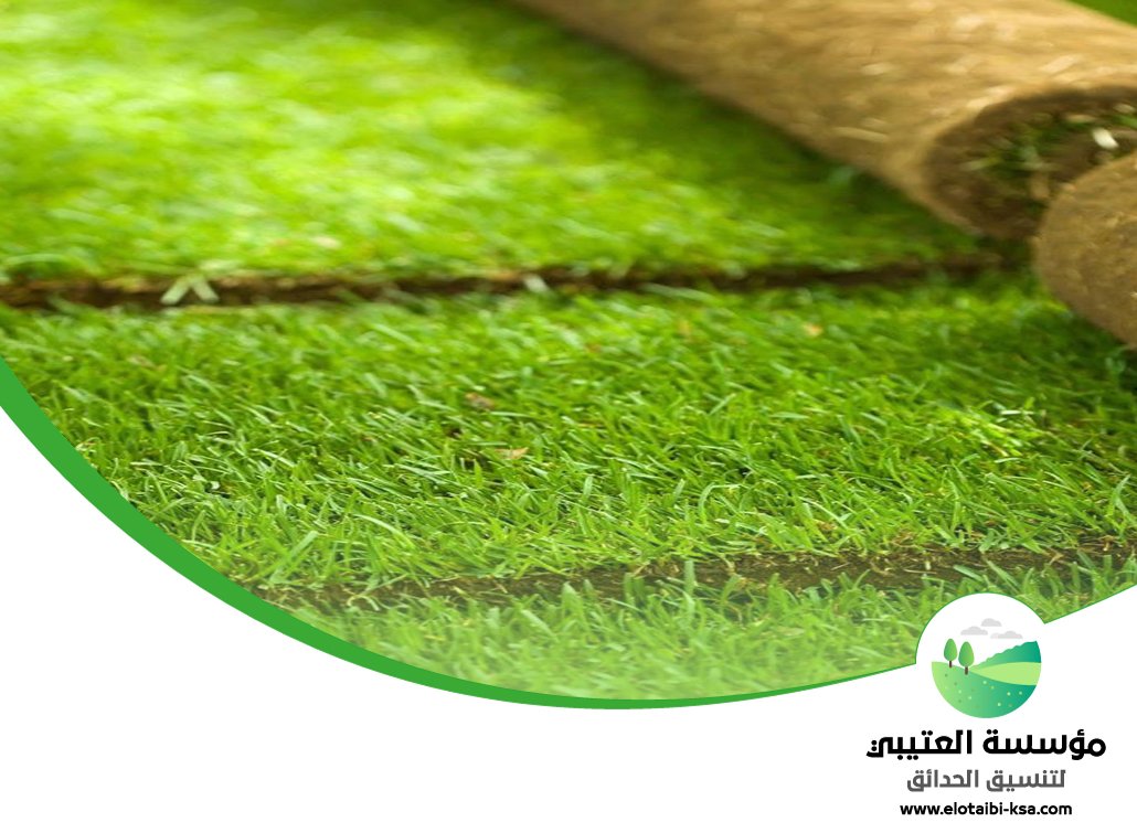 تجهيز ملاعب بالرياض 4 تجهيز ملاعب بالرياض