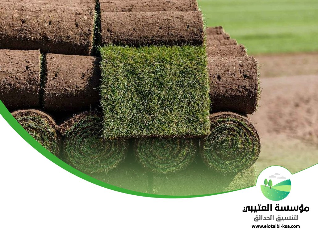 تجهيز ملاعب بالرياض 5 تجهيز ملاعب بالرياض