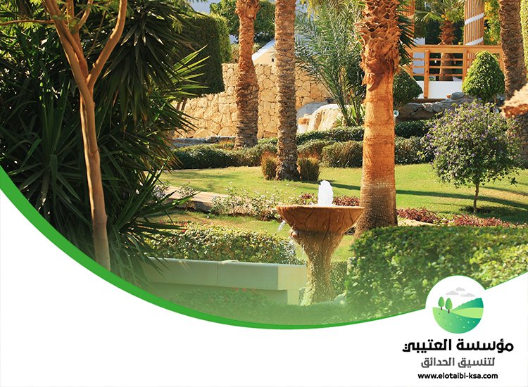 شركة تنسيق حدائق بالرياض 4 زراعة الأشجار والنباتات المناسبة لمناخ الرياض