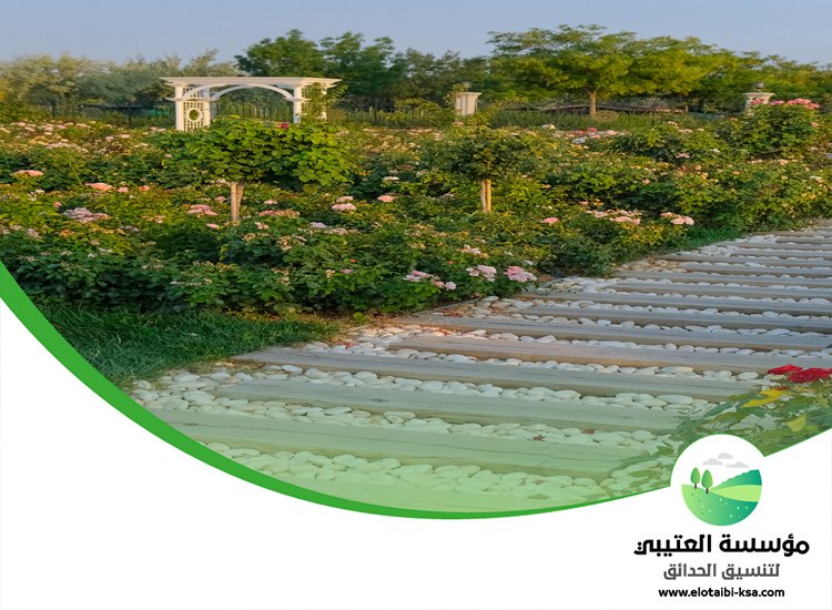 شركة تنسيق حدائق بالرياض 5 توزيع الأشجار والزهور بطريقة عملية